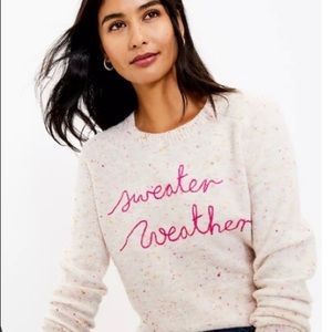 Loft Sweater Weather Sweater XL